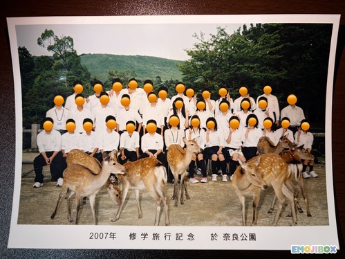  2007�N�@�������o�_�s����O���w�Z�@�C�w���s�L�O�ʐ^�@No.6