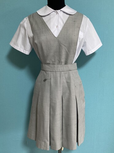 ���{ 2-103���~�Ԓ��w�Z�@�R�{���փf�U�C���̋��^���璹�i�q�̉ăW�����p�[�X�J�[�g�y���n�t�z