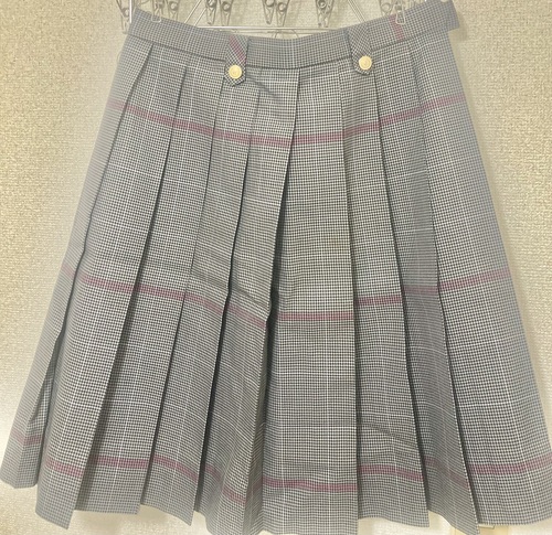 ���{ ���{�� �i���j�吳�����w�Z�@�X�J�[�g