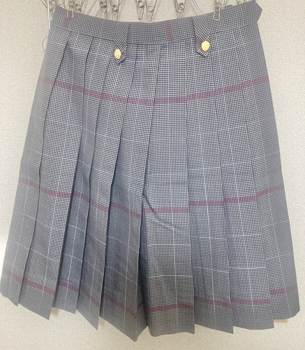 ���{ ���{��  �i���j�吳�����w�Z�@�ăX�J�[�g