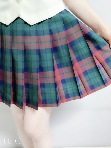 �啪�� �啪�������Ȋw���Z�Č��~�j�X�J�P�i�傫���T�C�Y