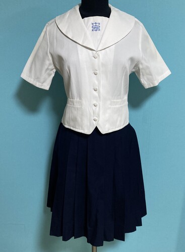 ���{ 2-97���v�[�����w�@�������u���E�X�Ɠ~�p�X�J�[�g�Z�b�g