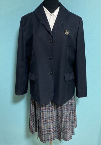 �ޗǌ� 2-108���ޗǌ����@���a���ˍ��Z���u���U�[�����~�Z�b�g�@�T�C�YLL