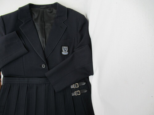 ������ 8699�@1120�@��}���Z �~�����㉺�Z�b�g �傫�߃X�J�[�g