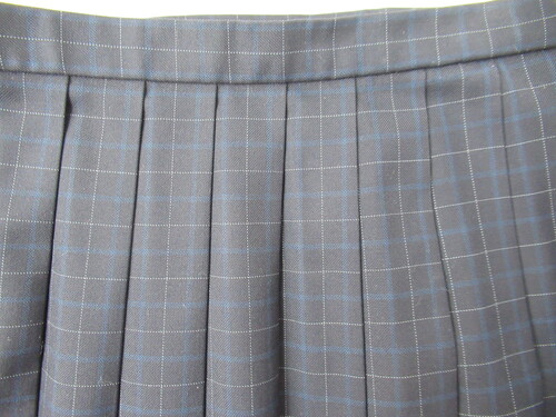 ������ 8759�@550�@�傫�ȃT�C�Y�I�v���Ďs�̒��w �~�X�J�[�g ���{�� �`�F�b�N��