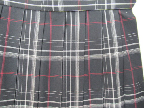 ������ 8775�@410�@�����H�ƍ��Z �ăX�J�[�g ���{��+�� �`�F�b�N��