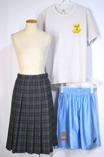  �������s �r��旧��O���w�Z �~�X�J�[�g ���q�o�X�P�b�g�{�[�������K���㉺ ����T5807