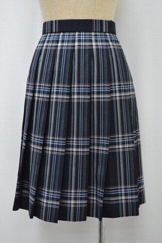  ����t���� ���˔n�������w�Z �~�X�J�[�g ��NA0661