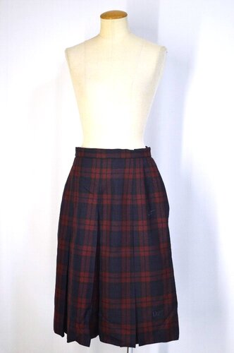  ����ʌ� �Y�a�w�@�����w�Z �~�X�J�[�g��T5809