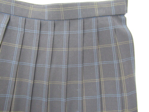 [�s��] 8785�@350�@�ăX�J�[�g VARSITYMATE TOMBOW ���{�n�{�x�[�W�� �`�F�b�N��