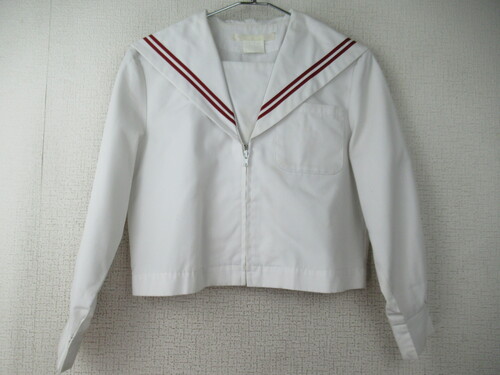 [�s��] 8801�@230�@���ԃZ�[���[�㒅 �O�W�b�p�[