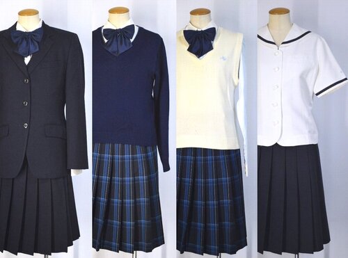  �������s �����Ɛ���w�������q���w�Z�E�����w�Z �u���U�[�~�ĕ� 11�_�Z�b�g��T5813