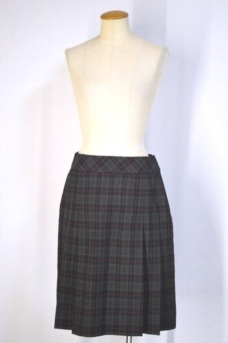  �������s ���c�w�����w�Z�E�����w�Z �ăX�J�[�g ���n�t�� �W�����R�R�V�m��T5815