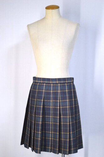  ����size �����s�� ������k�����w�Z �ăX�J�[�g��T5836