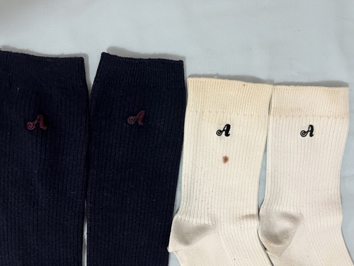 �����s ���������w�Z�@�w��\�b�N�X�@�C���@���ƍ���2��