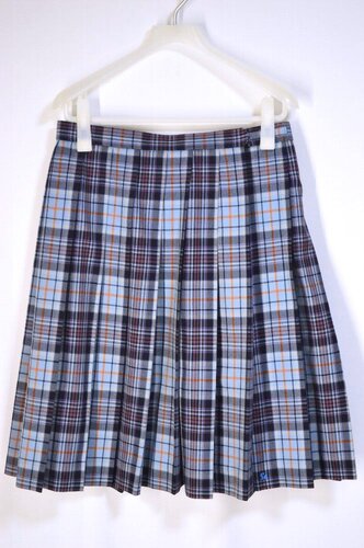  ����size W76 ��ʌ� ���a�w�������w�Z �Ǖ��`�F�b�N�~�X�J�[�g��T5843 �s��