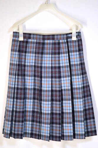  ����size W76 ��ʌ� ���a�w�������w�Z �Ǖ��`�F�b�N�ăX�J�[�g��T5844