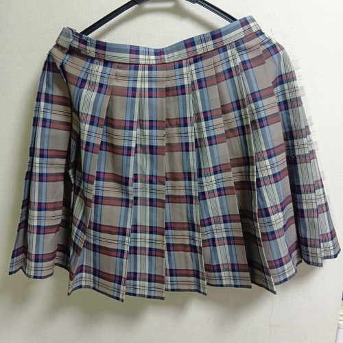 ���Ɍ� ���ΐ������Z�@�~�X�J�[�g�y�������z