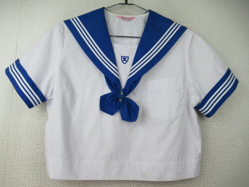 �F�{�� 8809�@230�@�傫�ȃT�C�Y�I�ܗ쒆�w �ăZ�[���[�㒅 �� ���{���t