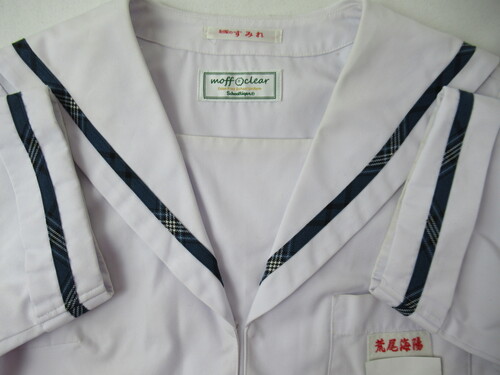 �F�{�� 8833�@260�@�傫�ȃT�C�Y�I�r���C�z���w �ăZ�[���[�㒅