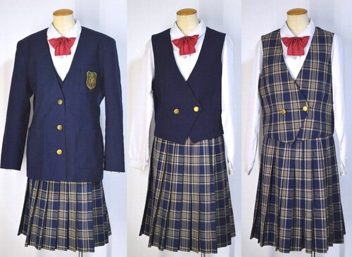  ����ʌ� �R���w�������w�Z ���܂Ȃ��u���U�[�~�ĕ� �q���R�R�V�m��T5824