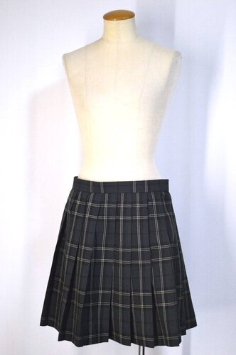  ����size W76 ��t���� ��c���������w�Z �ăX�J�[�g��T5834