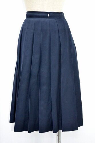  ����size W79 �_�ސ쌧 �t�F���X���w�@���w�Z�E�����w�Z �ăX�J�[�g ��NA0666