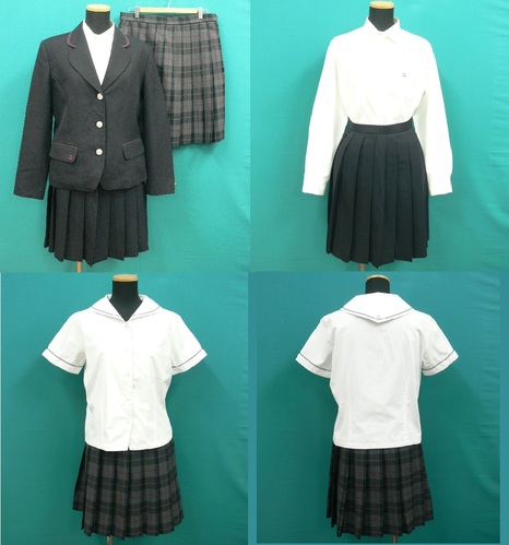 ���{ #1575�@�s�~�ԍ��Z�t�R�V�m�q���R�@���n�u���U�[�����~�ăZ�b�g�@�T�C�YL