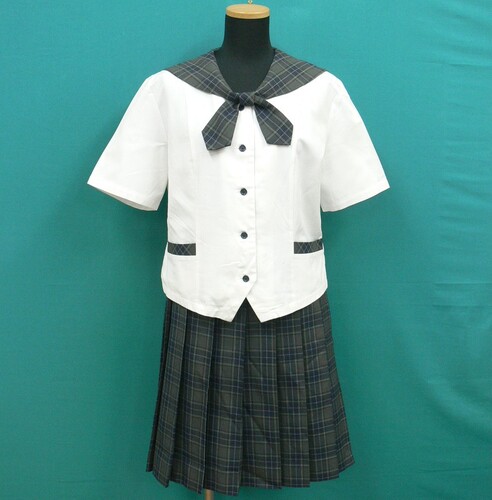 ���{ #1576�@�s��������Z�t�����Z�[���[�u���E�X�ƃ`�F�b�N�̉ăX�J�[�g�Z�b�g�@�y�傫�ȃT�C�Y�z