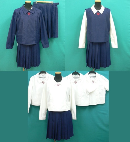 �ޗǌ� #1582�@�s�ޗǈ�p�����w�Z�t���n�~�Đ����Z�b�g�@�T�C�Y170A�y�傫�ȃT�C�Y�z�@