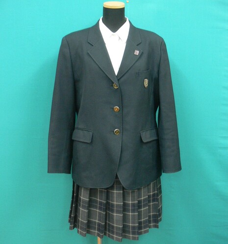 ���{ #1585�@�s���Ċw���t�_�[�N�O���[���n�u���U�[�����~�Z�b�g�@�Z�͕t�@�T�C�Y17R�y�傫�ȃT�C�Y�z