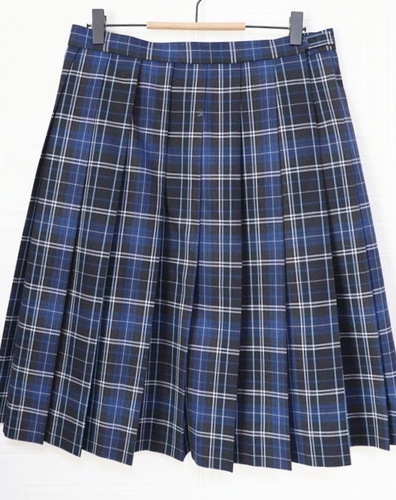 �����s ���� ���~�w�����Z ���� �~�� �`�F�b�N�X�J�[�g �E�G�X�g�V�X �M�K�T�C�Y �ɐ��O��