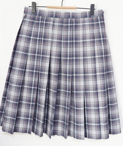 �����s ���� ���~�w�����Z ���� �ĕ� �`�F�b�N�X�J�[�g �E�G�X�g�V�X �M�K�T�C�Y �ɐ��O��