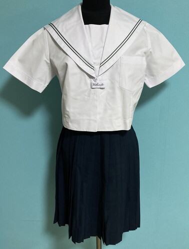 �a�̎R�� 2-114���a�̎R�����@���{���Z���O���[2�{���C���̉ăZ�[���[�Z�b�g�@�O�J���@�T�C�Y165A