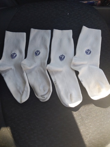 �_�ސ쌧 �_�ސ쌧 ���Z�V���A���q���w�E���Z ���� �w�� �ėp �C�� 