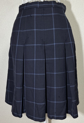 �򕌌� �� �x�c�����w�Z���n�t���X�J�[�g���󂠂�