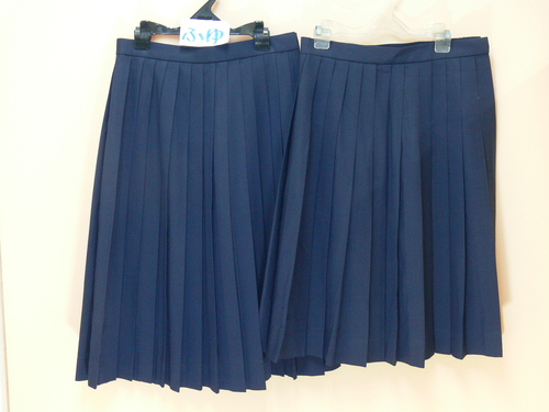 [�s��] ��11�������n�t�����F�@���n�@�v���[�c�X�J�[�g