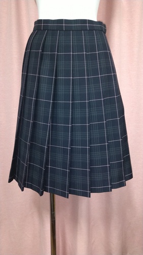 [�s��] No.222  �傫��size  �`�F�b�N�X�J�[�g �s���~����