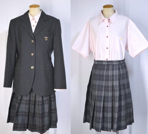  ����size �É��� ���{��w�O�������w�Z �u���U�[�~�ĕ���T5848