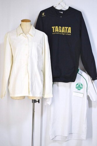  ���É����� �c���_�ƍ����w�Z �����u���E�X �W���[�W�̑����ざT5849