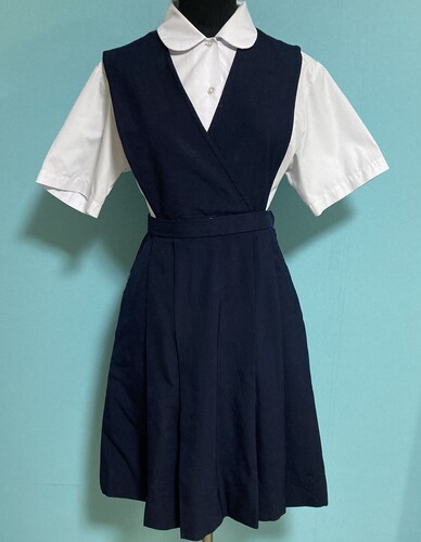 �a�̎R�� 2-128���a�̎R�M�����ăW�����p�[�X�J�[�g�@Predichant