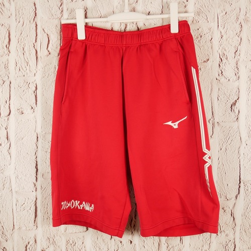 ���m�� 0568�@�L��@�̑������@L�T�C�Y�@���w�@���Z�@���q