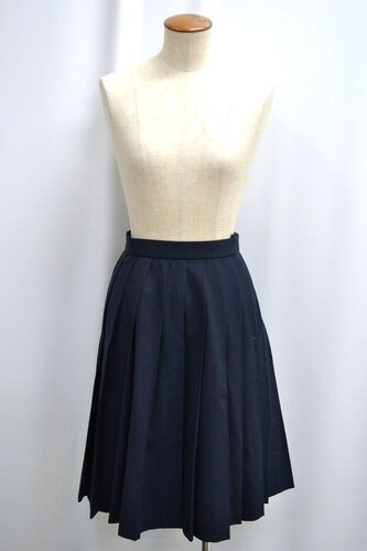  �Z�����s ���A�y�w�����w�Z �ăX�J�[�g ����6164