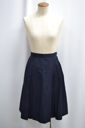  �Z�����s ���A�y�w�� �����w�Z �ăX�J�[�g ����6165