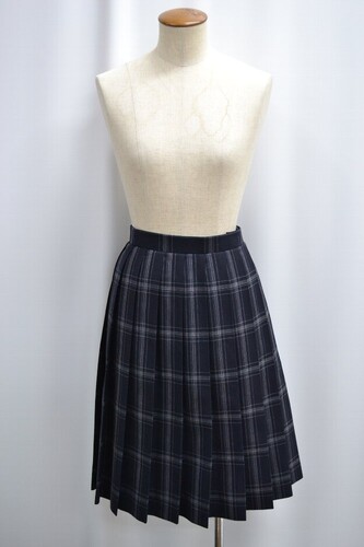  �Z��size �����s ��Ȓ��쒆�w �����w�Z �ăX�J�[�g ����6166