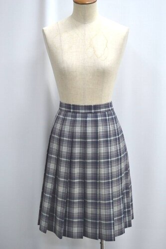  �Z��size �����s ���~�w�������w�Z �ăX�J�[�g ����6167