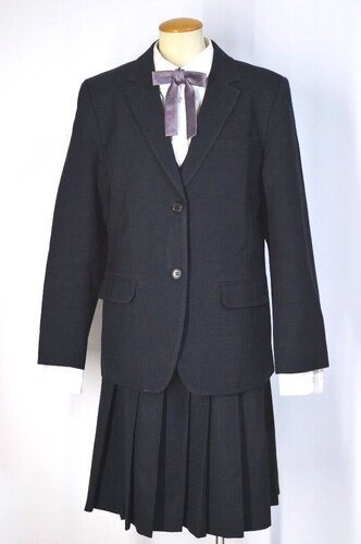  ���É����� ���Ï��ƍ����w�Z �u���U�[�~�� ���{����T5862