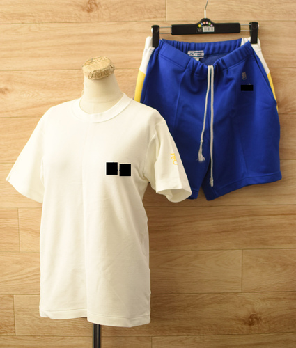  c�����i����ʌ� �Ջ���ʒ��w�Z�E�����w�Z ���E���q�̑���/�̈璅�㉺����