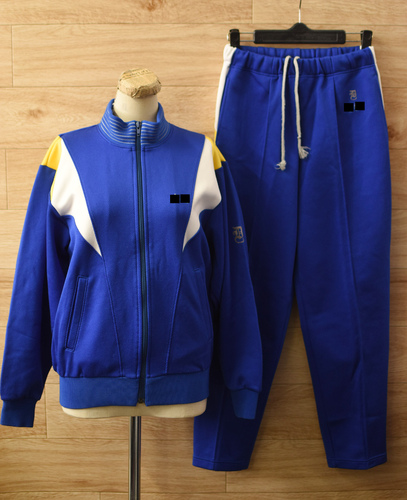  c�����i����ʌ� �Ջ���ʒ��w�Z�E�����w�Z ���E���q�W���[�W�㉺����SS