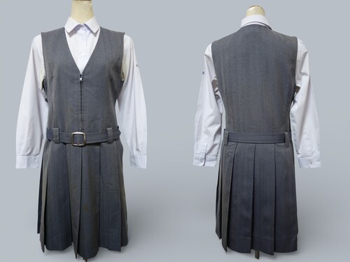 ���{ 411����㏗�w�@���Z���w��u���E�X���w�����{�[�����W�����p�[�X�J�[�g�i�~�E�x���g�t�j��160A